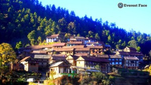 नेपालकाे पहिलाे शासक ‘गाेपाल वंश’का सन्ततिहरूकाे गाउँः कुन्छाल