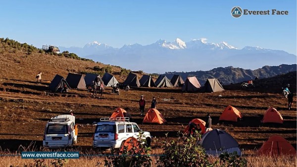 पर्यटककाे राेजाइमा ब्राेम्दिङ 